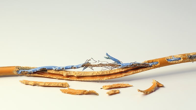 Rodent Chewed Cable